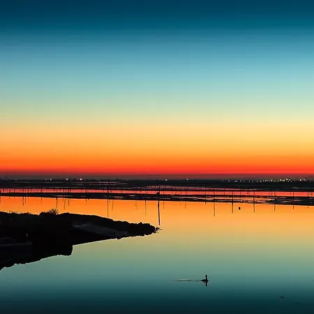 Bianca Appartement *